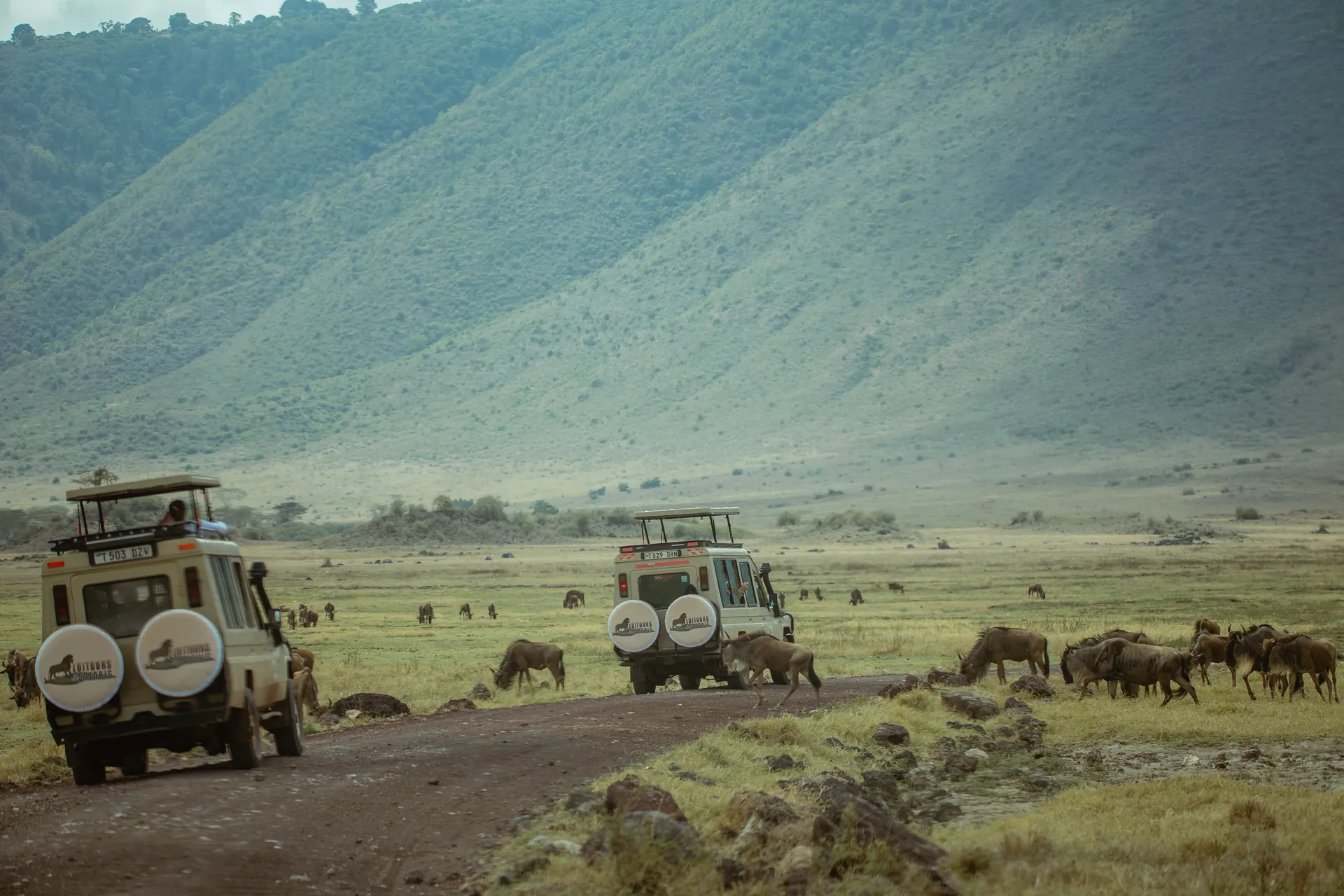 Wildlife in an East African safari landscape